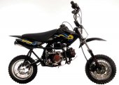 2011 Lifan Goldfish 50 photo